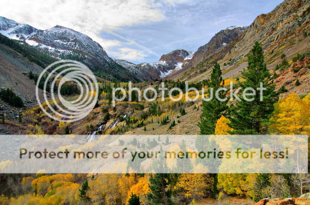 Fall colors in Lundy Canyon